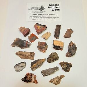 Rare Arizona Petrified Wood Fossil Lot + Organza Gift Carry Pouch